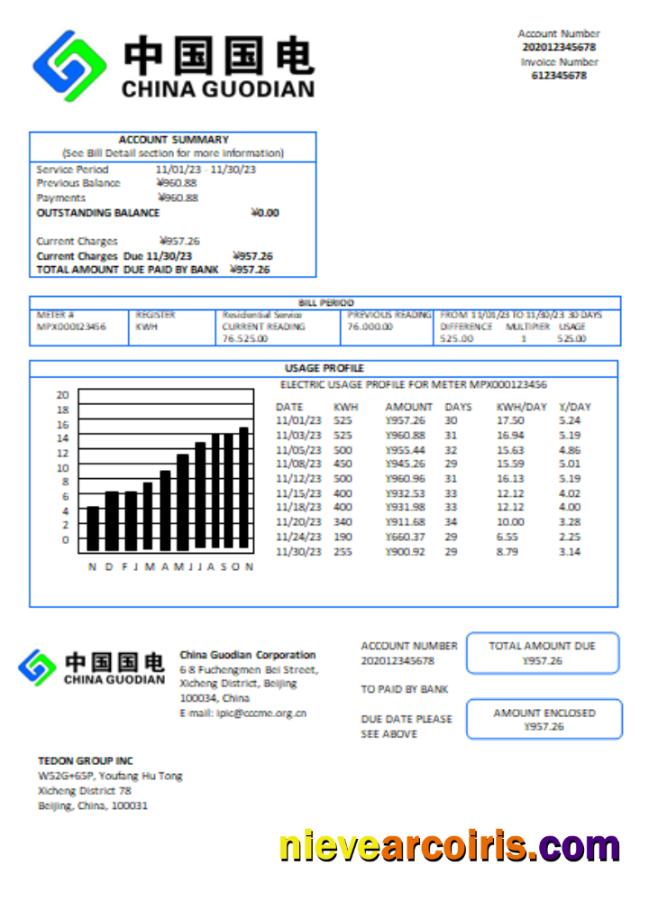 China Guodian Corporation electricity utility business bill
